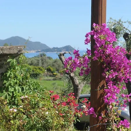 Casa Franguella - Uliveto Sul Mare Villa Lavagna Exterior photo