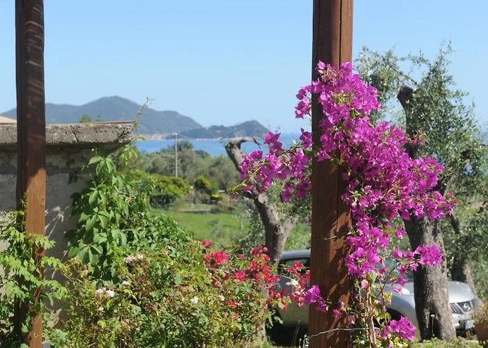 Casa Franguella - Uliveto Sul Mare