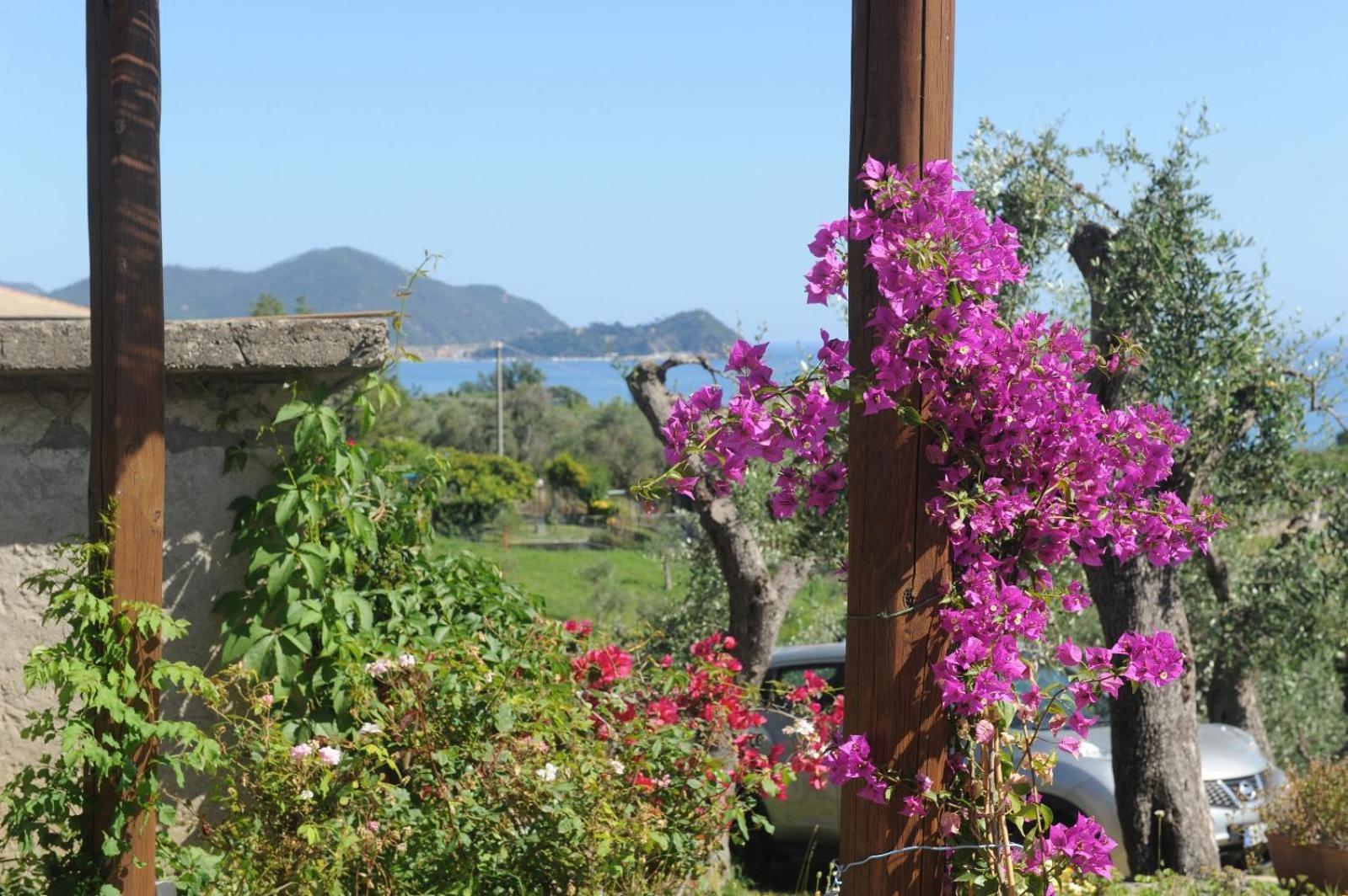 Casa Franguella - Uliveto Sul Mare